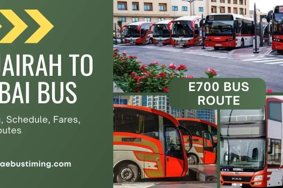 E700 Bus Route: Fujairah to Dubai Bus Timing, Schedule, Fares and Routes