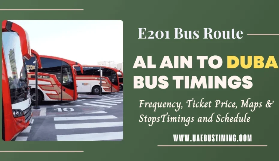 E201 Bus Timings – Al Ain to Dubai Bus Route, Schedule, Fare & Stops
