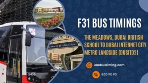 F31 Bus Timings from The Meadows, Dubai British School to Dubai Internet City Metro Landside (DusitD2)