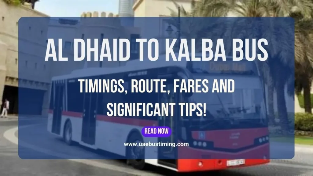 Al Dhaid to Kalba Bus Timings, Route, Fares and Significant Tips!