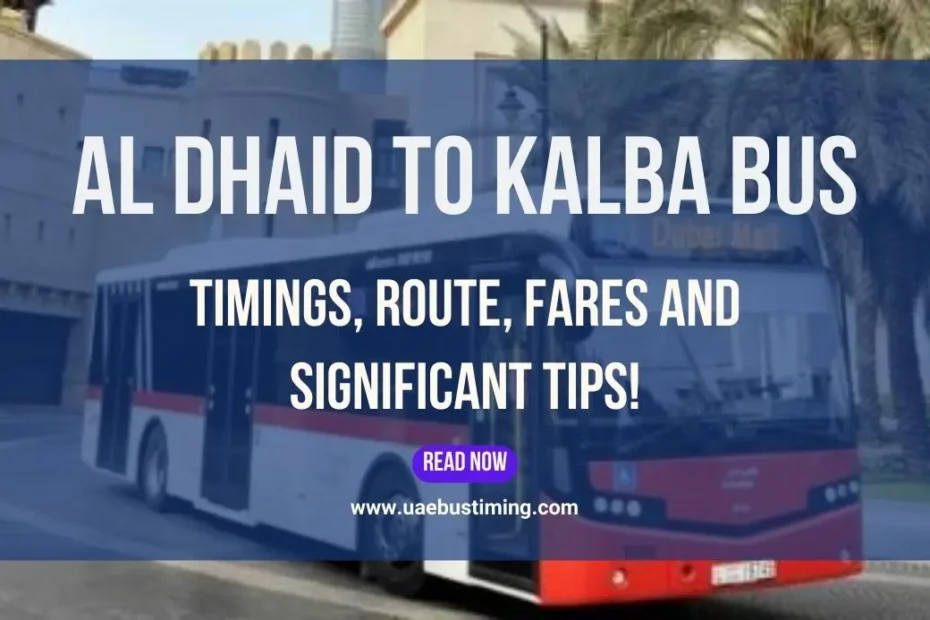 Al Dhaid to Kalba Bus Timings, Route, Fares and Significant Tips!