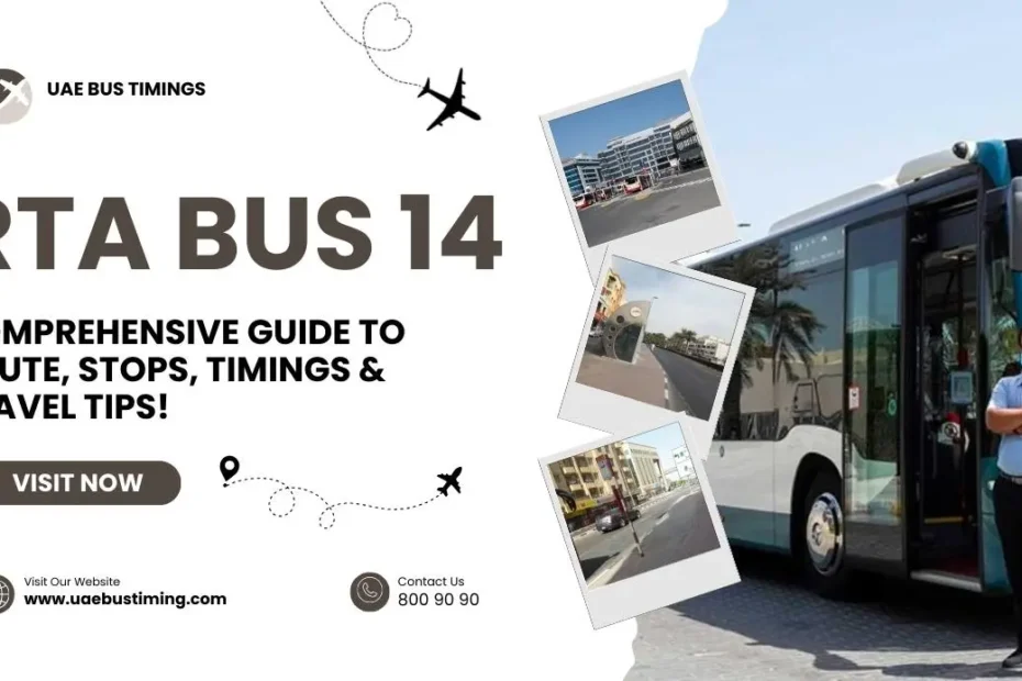 RTA Bus 14: Comprehensive Guide to Route, Stops, Timings & Travel Tips!