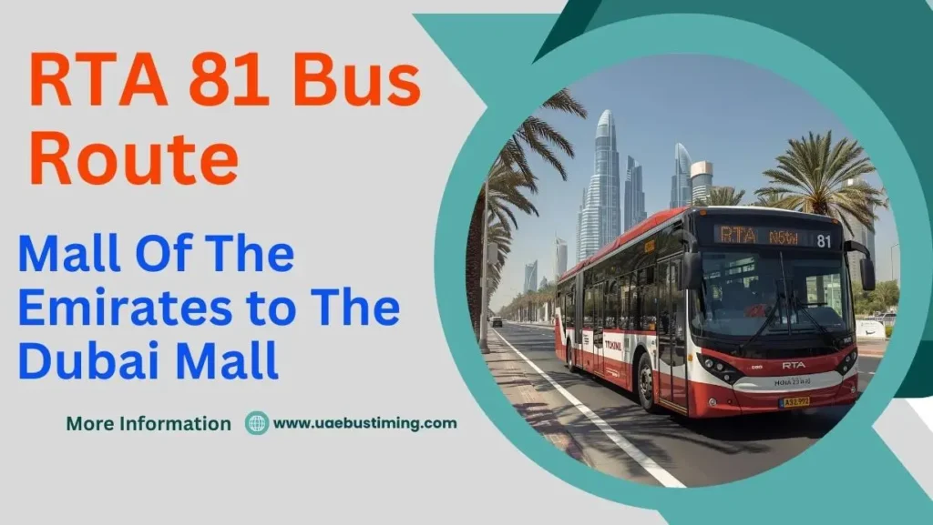 RTA 81 Bus Route: Mall Of The Emirates to The Dubai Mall
