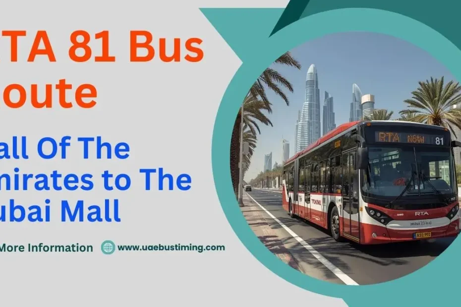 RTA 81 Bus Route: Mall Of The Emirates to The Dubai Mall
