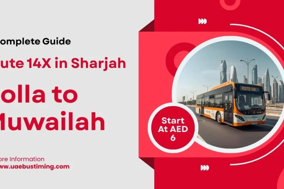 A Complete Guide to Route 14X in Sharjah from Rolla to Muwailah