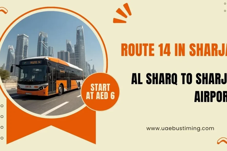A Detailed Guide to Route 14 in Sharjah from Al Sharq to Sharjah Airports