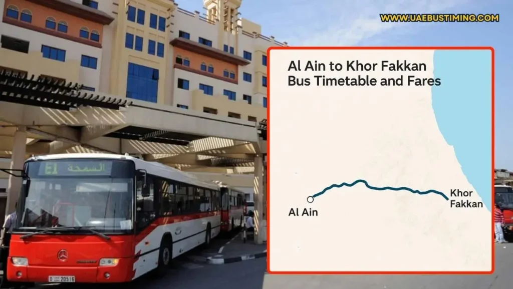 Al Ain to Khor Fakkan Bus Timings and Fares (A Complete Guide)