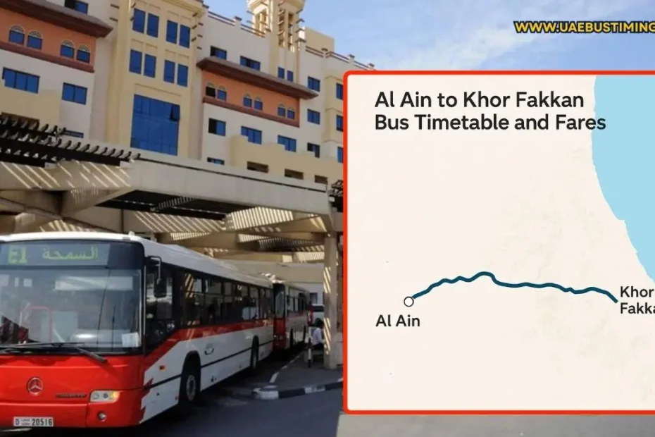 Al Ain to Khor Fakkan Bus Timings and Fares (A Complete Guide)