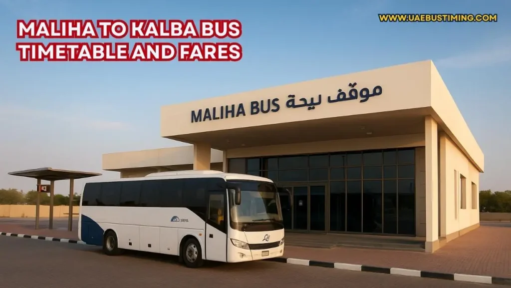 Maliha to Kalba Bus Timetable and Fares (Updated Guide)