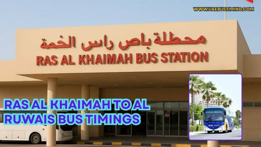 Ras Al Khaimah to Al Ruwais Bus Timings and Fares (2025 Guide)