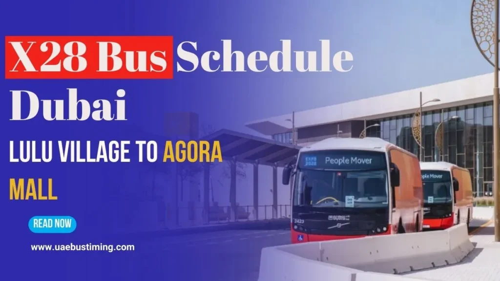 X28 Bus Schedule Dubai – Route, Timings & Stops